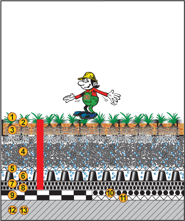Dach begehbar, 0%, Ausgleichsschicht/Tragschicht, Bettung, Rasenschutzwabe, Rasenpflaster Dach begehbar, 0%, Ausgleichsschicht/Tragschicht, Bettung, Rasenschutzwabe, Rasenpflaster
