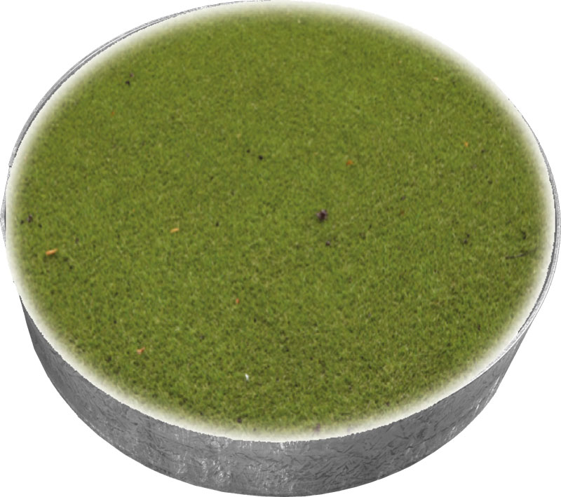 rasen_seite_klein GreenLiner Stahl-Ring - Montagebeispiel/Trittstufe
