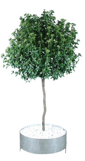 internet_baum GreenLiner Stahl-Ring - Montagebeispiel