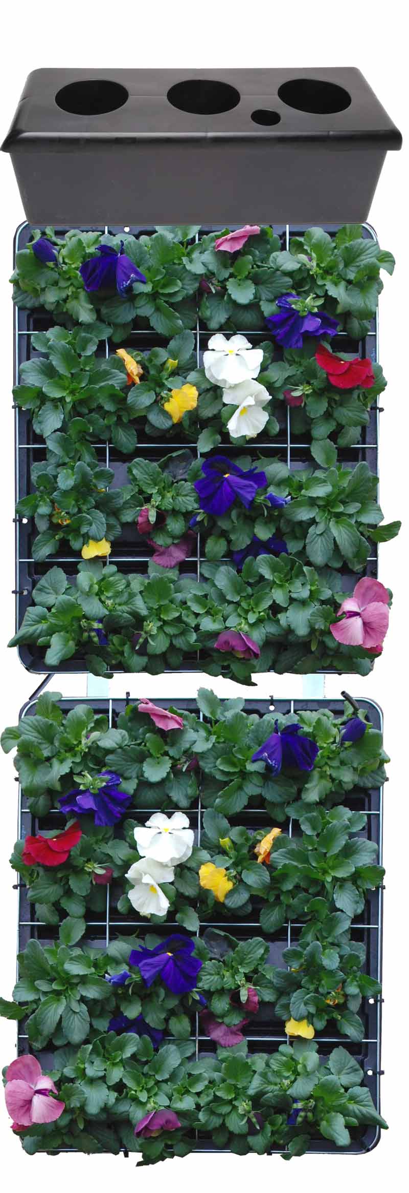 GreenFront_Blumenbeet05 GreenFront 2x Begrünungsmodul + Bewässerungstank Set ohne Deko