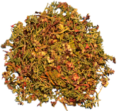 Sedumsprossen_frei Sedum-Sprossen