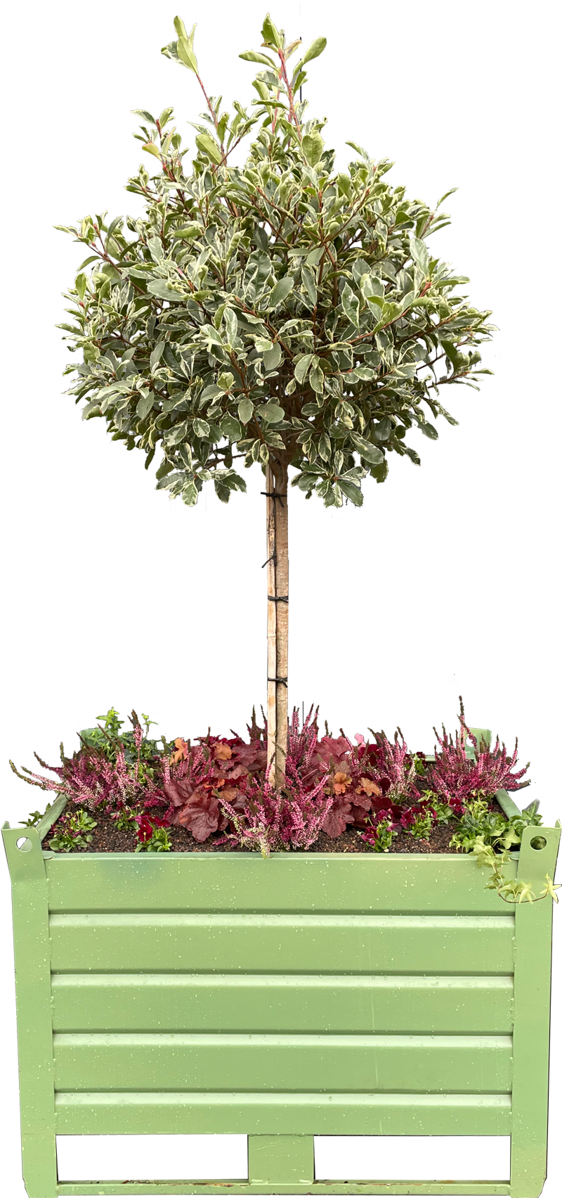 Kuebel_lackiert_Bepflanzung GreenTainer Bepflanzungsbeispiel