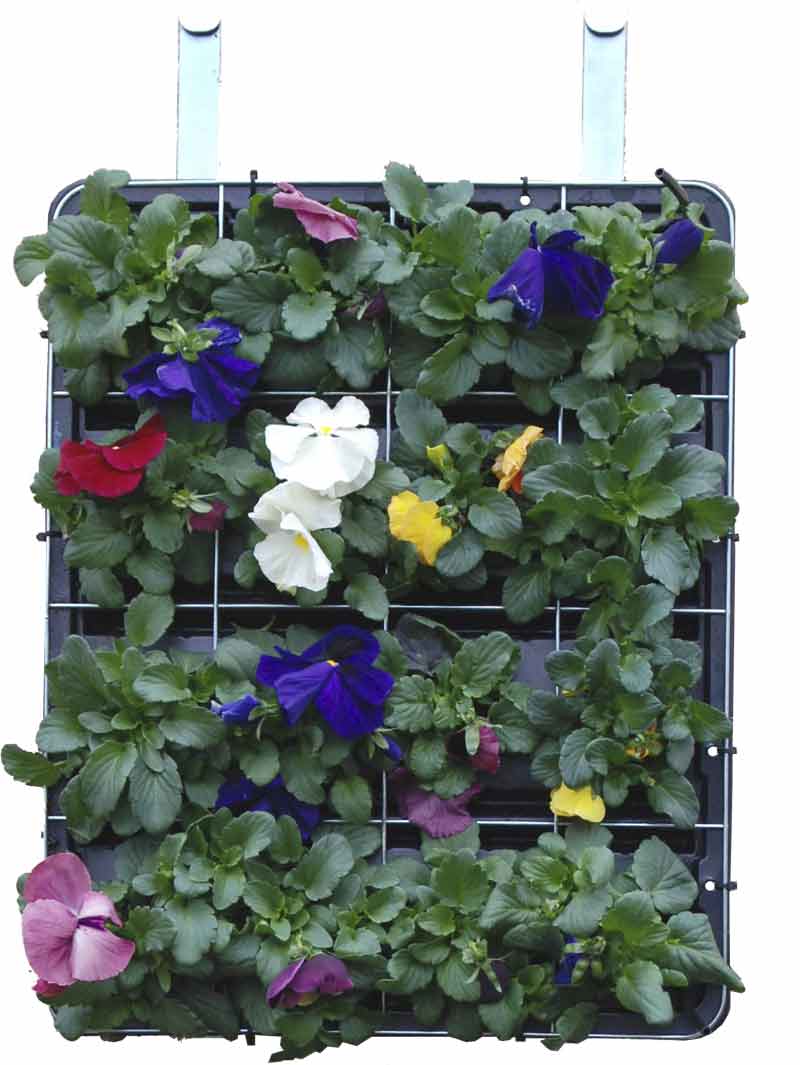 GreenFront_Blumenbeet04 GreenFront Begrünungsmodul - Montagebeispiel