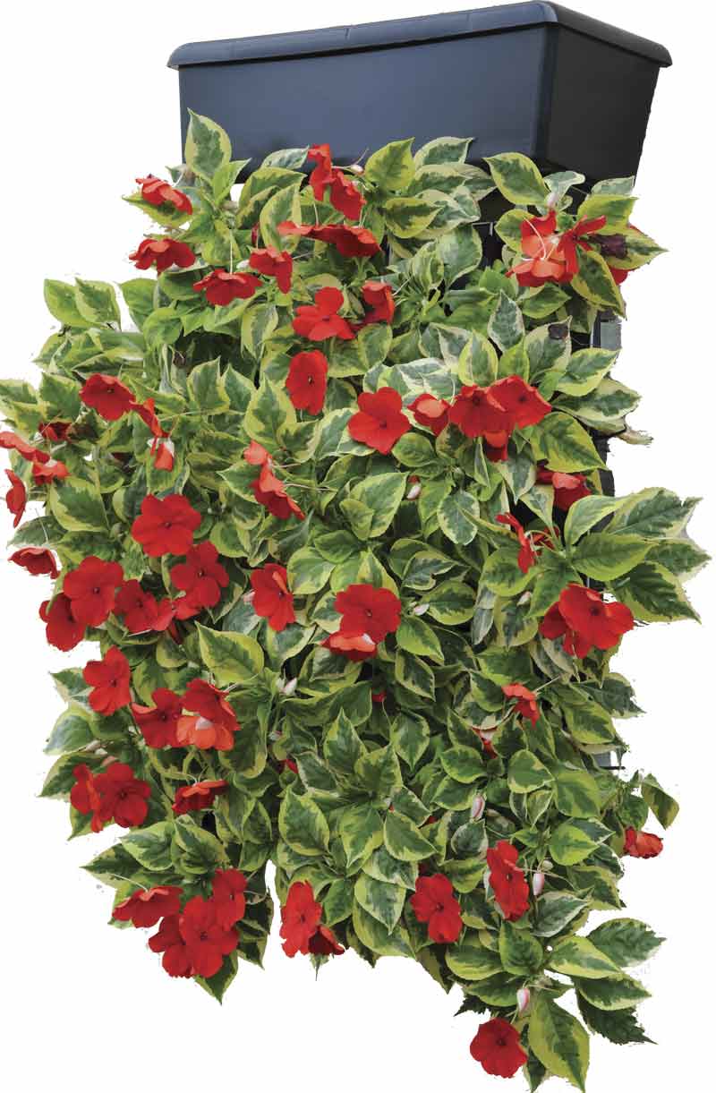 GreenFront_Blumenbeet01 GreenFront Begrünungsmodul - Anwendungsbeispiel Set