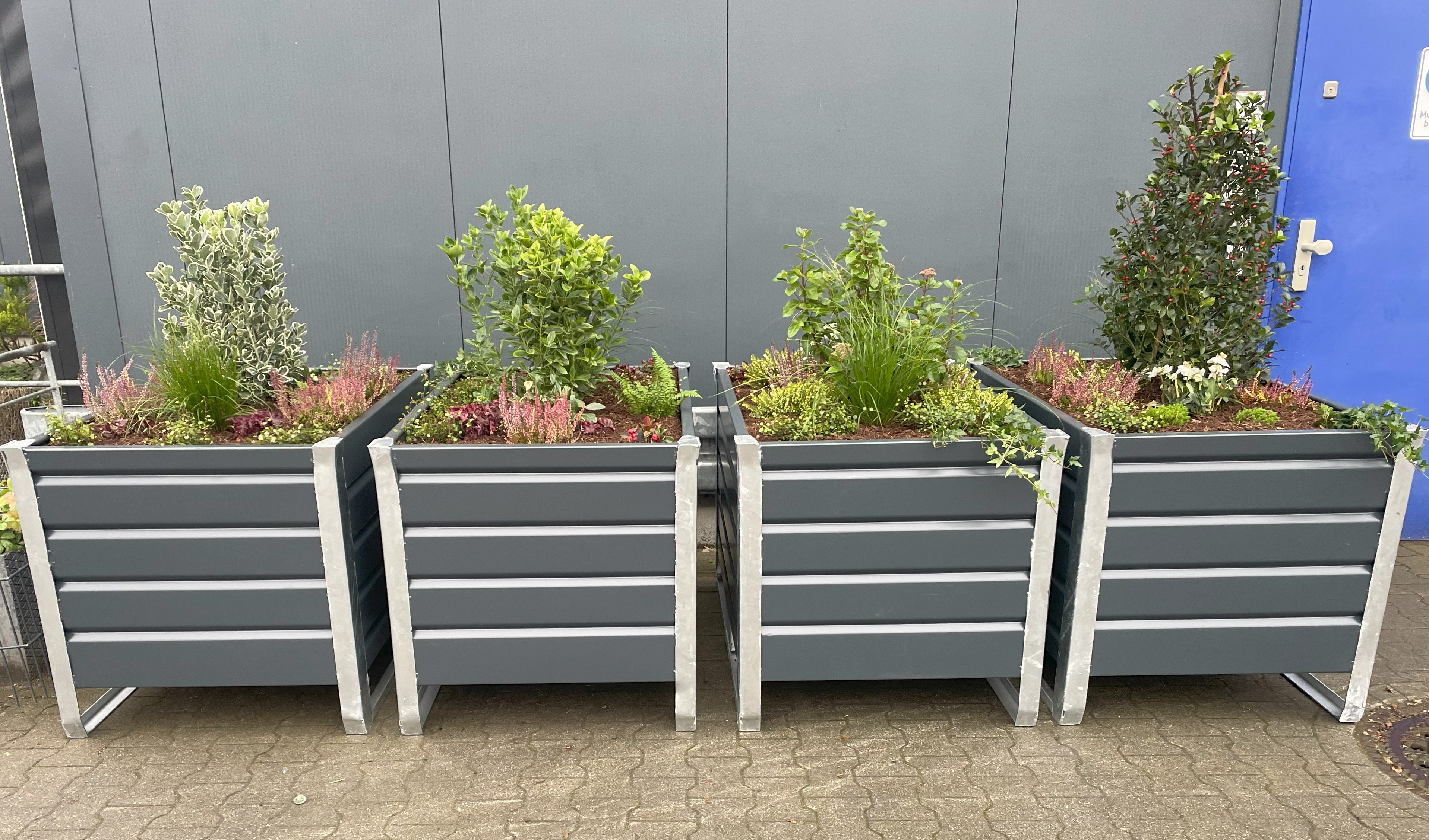 GreenTainer bepflanzt (Beispiel)