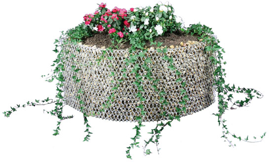 klein_pflanzen_04 GreenGabion 100/50 - Ausführungsbeispiel/Pflanzbeispiel