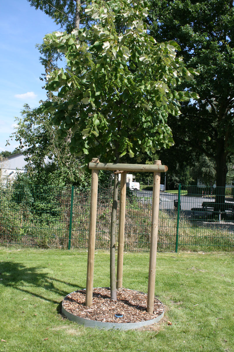 Baumring_Bewaesserung Baumbewässerung TIS-Basic Montagebeispiel