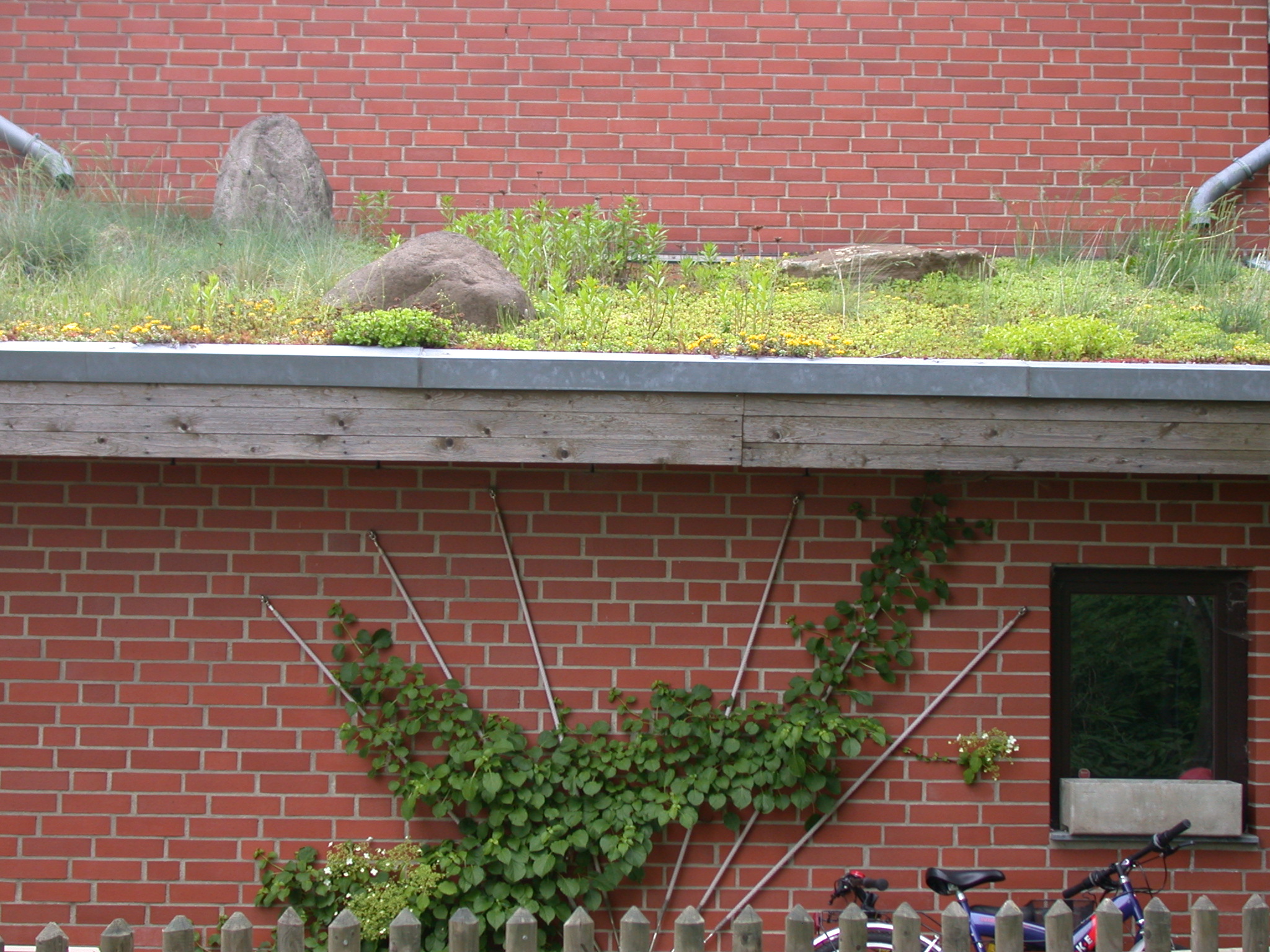 100 kg Substrat zur Dachbegrünung Gründach Begrünung Sedum Sorte 2 Lava Bims 